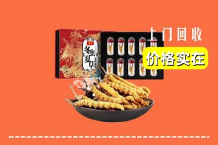 丽水市缙云回收冬虫夏草